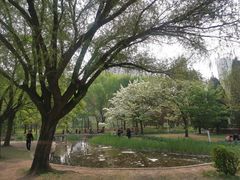 -泰丰公园