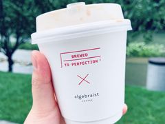 -代数学家algebraist(诚品店)