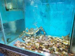 帝王蟹-海大大蒸汽海鲜餐厅·粤菜·特色小炒(欢乐颂店)