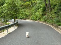 -东天目山风景区