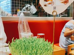 -好彩猪肚鸡(正弘城店)