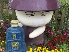 -上海都市菜园