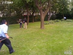 草地-上海瑞金洲际酒店