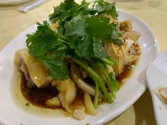白切鸡-电白鸭粥店(下沙二坊88号店)