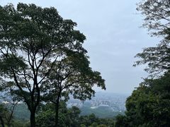 -广州市白云山风景名胜区