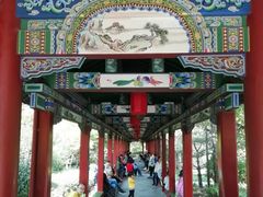 -迎泽公园