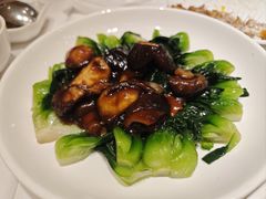 -新吉士·上海菜(浦东LCM置汇旭辉店)