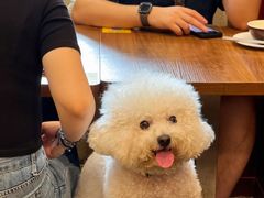 -曼谷食堂·泰国家庭料理