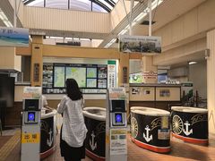 -伊豆观海列车