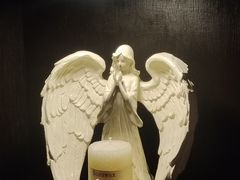-雪灵魔法世界SHELLY’S TAROT(大良桂畔里店)