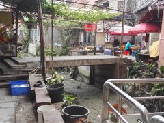-小洲村