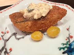 -橼舍鮨青木
