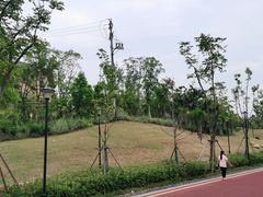 -九龙湖公园