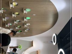-COLOR PETS 撸猫馆·购猫·猫咖(长风大悦城店)
