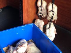 -徐记正宗北京烤鸭(北京东路总店)