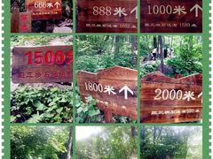 -三块石国家森林公园