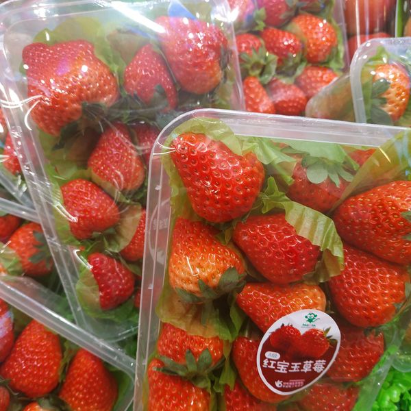 红宝石草莓