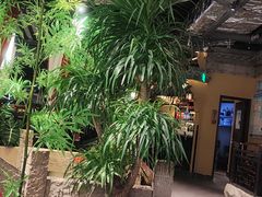 -国芳中心