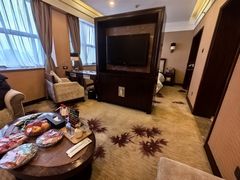 -长沙小天鹅戴斯酒店