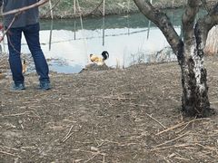 -乌村