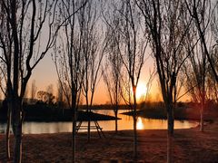 -东郊湿地公园