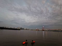 -小李子油焖大虾(南浦店)