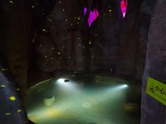 -通程温泉大酒店