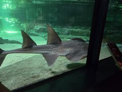 -香港海洋公园
