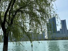 -天鹅湖体育公园