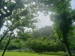-火炉山森林公园