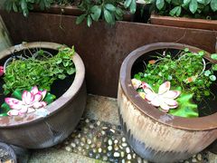 -甜阿姨·天台花园私房菜(万松园店)