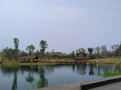 -白鹭湾湿地公园