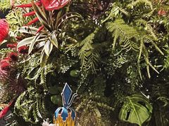 -峨嵋酒家(牡丹园店)