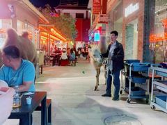 -沙洲路步行街(长安南路店)