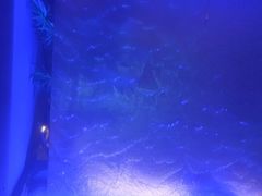 -唐宫足道·SPA·住宿24H会所(木渎店)