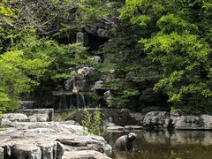 -周口店北京人遗址公园