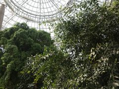 -郑州植物园