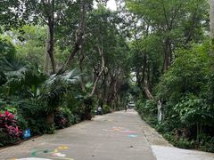 -广州长隆飞鸟乐园