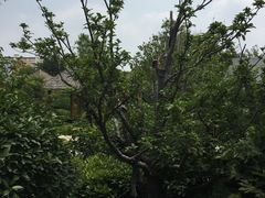 -郑州银基黄帝宫御温泉