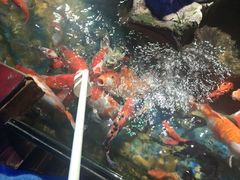 -太平洋海底世界