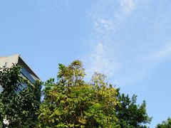 -博林天瑞喜来登酒店·西丽尚膳