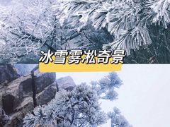 -尧山风景区