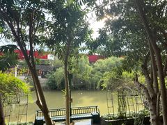-杭州宋城