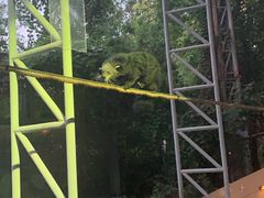 -清迈夜间动物园