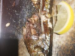 -千代武日本料理(爱建店)