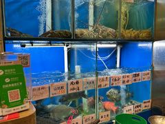 -华峰食馆(氹仔店)