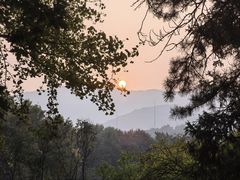 -国家植物园南园