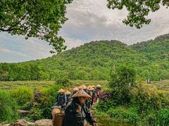 -野蔓果·山野菜(西湖景区·龙井茶田店)