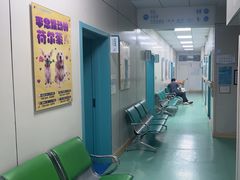 -北京观赏动物医院·24小时大型综合·猫专科·异宠专科