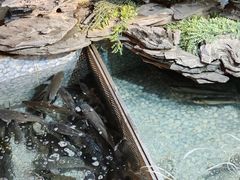 -山水茶艺馆·点心粤菜·30年老字号